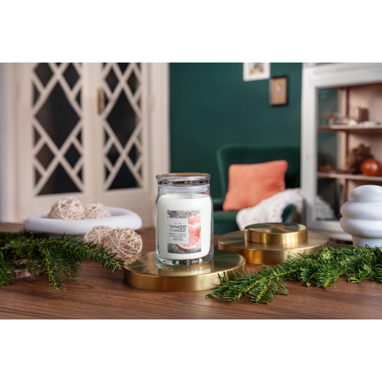 WHITE SPRUCE & GRAPEFRUIT